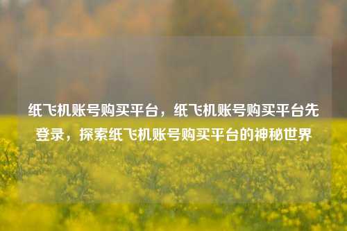 纸飞机账号购买平台，纸飞机账号购买平台先登录，探索纸飞机账号购买平台的神秘世界