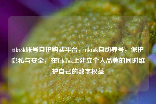 tiktok账号自护购买平台，tiktok自动养号，保护隐私与安全，在TikTok上建立个人品牌的同时维护自己的数字权益