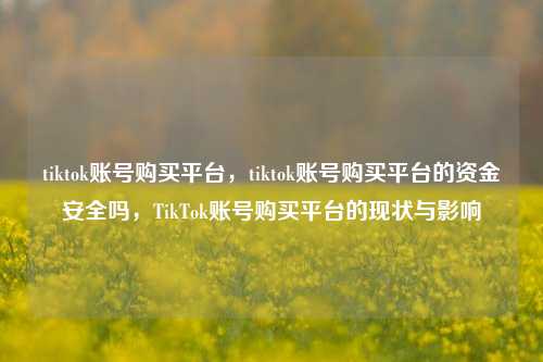 tiktok账号购买平台，tiktok账号购买平台的资金安全吗，TikTok账号购买平台的现状与影响