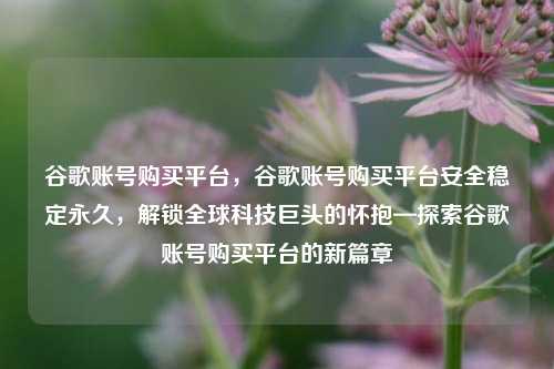 谷歌账号购买平台，谷歌账号购买平台安全稳定永久，解锁全球科技巨头的怀抱—探索谷歌账号购买平台的新篇章