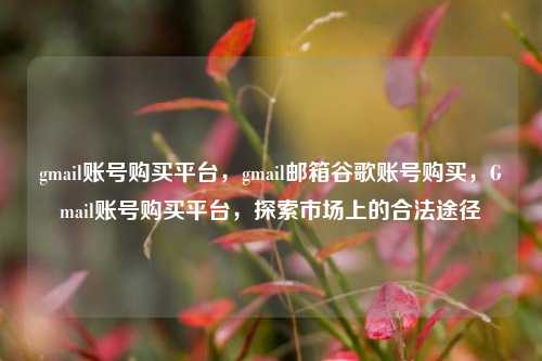 gmail账号购买平台，gmail邮箱谷歌账号购买，Gmail账号购买平台，探索市场上的合法途径