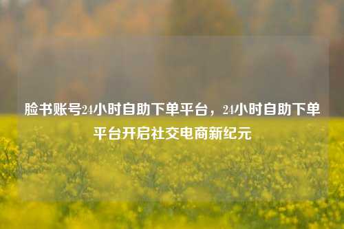 脸书账号24小时自助下单平台，24小时自助下单平台开启社交电商新纪元